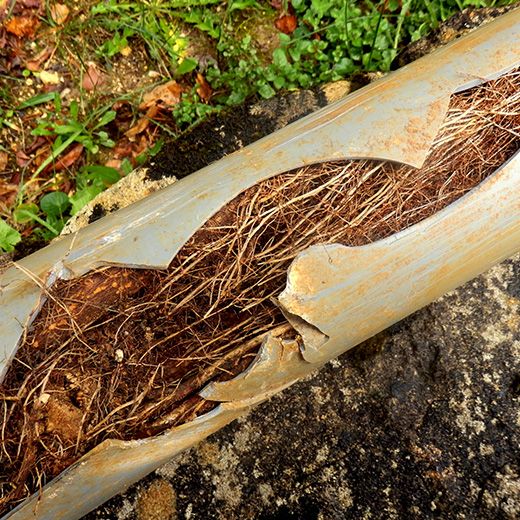 The Drain & Sewer Professionals In Taperoo